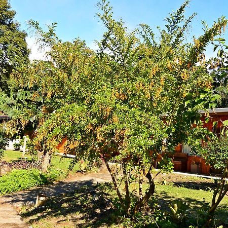 Elida Trails & Eco-Lodge Monteverde Exterior photo