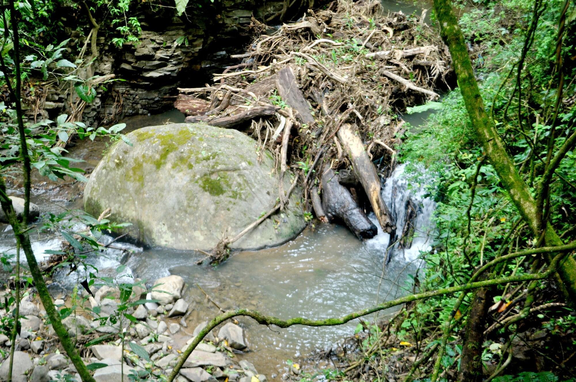 Elida Trails & Eco-Lodge Monteverde Exterior photo
